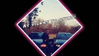AVA- AŠ VILKAS TU GYVATĖ (AUDIO) 2023