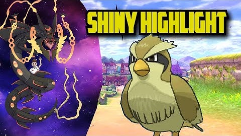 LIVE shiny pidgey reaction!!! pokemon let