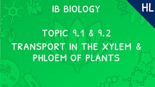 IB Biology Topics 9.1 & 9.2 (HL): Transport in the Xylem and Phloem of Plants