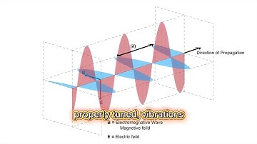 Optical table | Vibration | Optics 