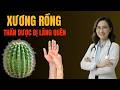 90% Người Đau Xương Không Biết Mẹo Này Từ Xương Rồng