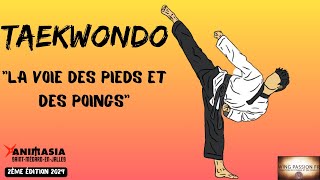 W.P.FR : Taekwondo - La voie des pieds et des poings.