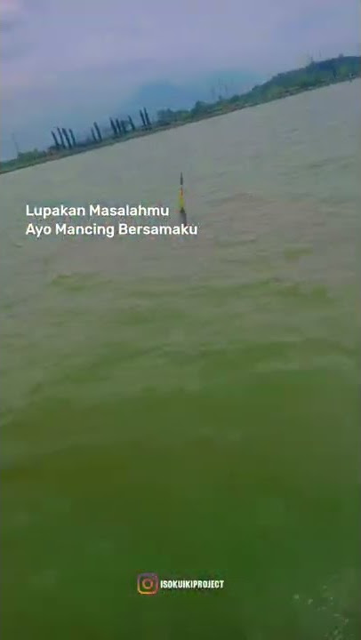 Story wa 30 detik terbaru 2022 || Story mancing mania