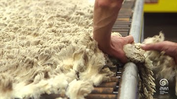AWI Basic Wool Handling - Sign Off