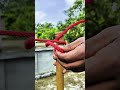 I believe! Bowline knots is still 100% effective