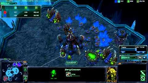 StarCraft 2: Zergling to Muta-Begginer