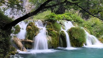 من سورة الاسراء ماجد العنزي