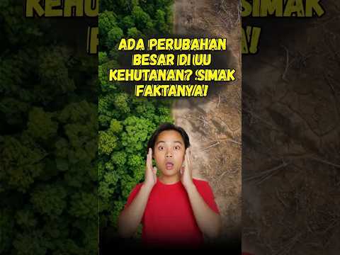 Ada Perubahan Besar di UU Kehutanan? Simak Faktanya!