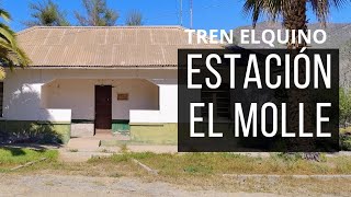 Estación El Molle: Memoria Ferroviaria del Valle del Elqui 🚂 #EstaciónElMolle #historiaTrenElquino