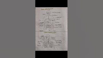 Life processes class 10th Notes| Science chapter-5| #cbseclass10 #class10 #ncert #science