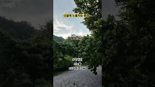 산골의 노을지는 풍경^^ 박서진의 노을 #shorts
