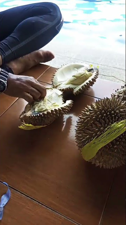 Belah Duren Mantap #shorts #youtubeshorts #duren #storywa