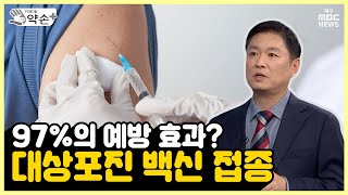 97%의 예방 효과? 대상포진 백신 접종 [통증의 공포, '대상포진' ⑮예방 백신] | 메디컬 약손