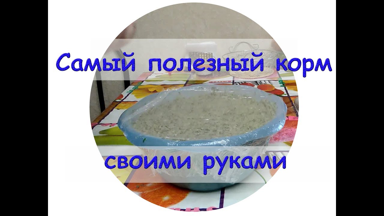 Самый полезный корм своими руками для рыбок раков улиток