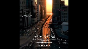 {إن شر الدواب عند الله}😌 هزاع البلوشي 🌿 تلاوة مريحة 🍂