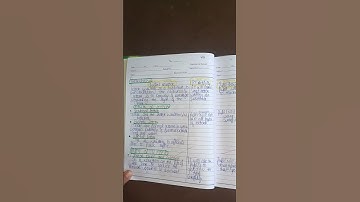 B.ED(LETTER WRITING) ENGLISH MACRO LESSON PLSN.GNDU AMRITSAR