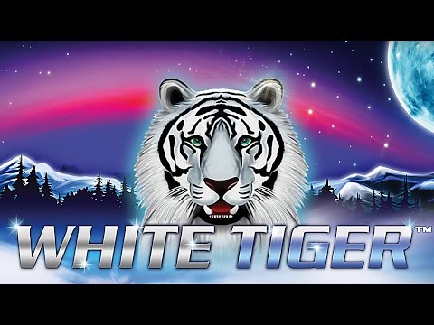 White Tiger Slot - BIG WIN Bonus!