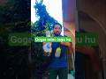 #pintya #comedy #god #song #shorts #youtube #edit #new #funny#india ##quotes#duet #fun#goodmorning