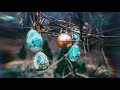 Sweet Easter Piano 🕊 — Gentle Music Ambience 🎼