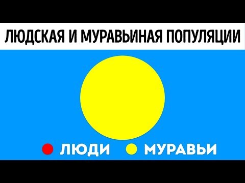 Что, если бы мы жили как муравьи