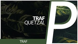 Video-Miniaturansicht von „TRAF - Quetzal [Original Mix]“
