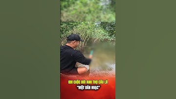 Chế cần câu lure thành cần câu đài và cái kết #lkhoa #cauca #shorts