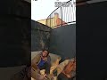 3rd Strike and you're out