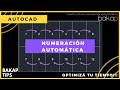 Numeración automática en Autocad