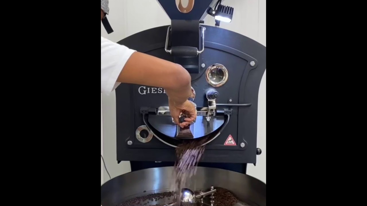 Roasting Coffee on a Giesen W6