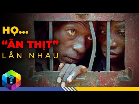 Video: Nhà tù tốt nhất trên thế giới: xếp hạng, quốc gia, điều kiện giam giữ và hình ảnh