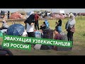 Эвакуация узбекистанцев из России: сколько граждан вернутся домой