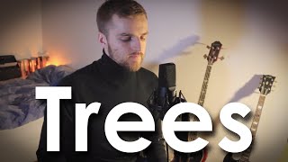 Manchester Orchestra - Trees (Cover)