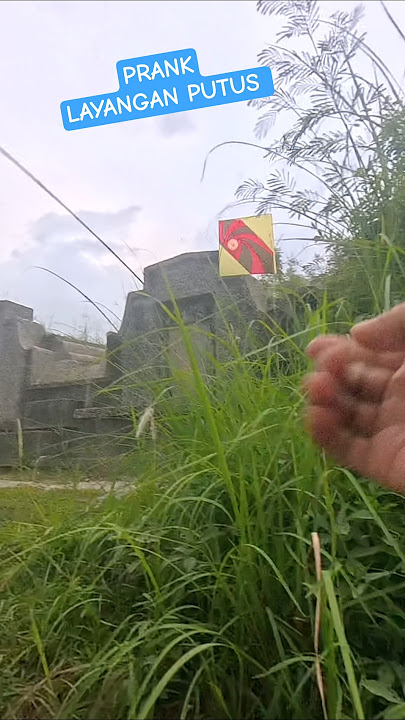 diemin dulu #layangan #kite #layanglayang #kitefighter