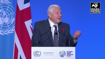 COP26 Day One: Summary of headline speeches