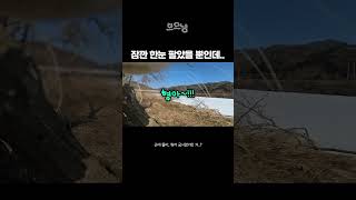 잠깐 한눈 팔았을 뿐인데..