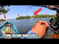 Casting artificial lures around mangroves for whatever bites south florida fishing