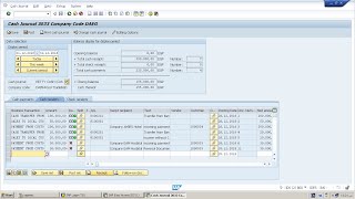 شرح  برنامج ساب المحاسبي بالعربي (2) SAP Financial Accounting Global Settings  Configuration