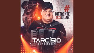 Labirinto do Amor - Tarcísio do Acordeon