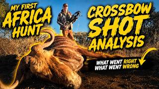 Wildebeest SHOT ANALYSIS-What Went RIGHT? What Went WRONG? screenshot 3