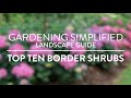 Gardening Simplified - Top Ten Border Shrubs