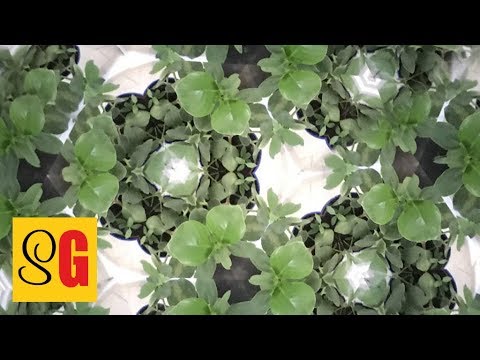 Wie Funktionieren Gewerkschaft Und Betriebsrat In Deutschland Slow German 197 Deutsch Lernen Youtube