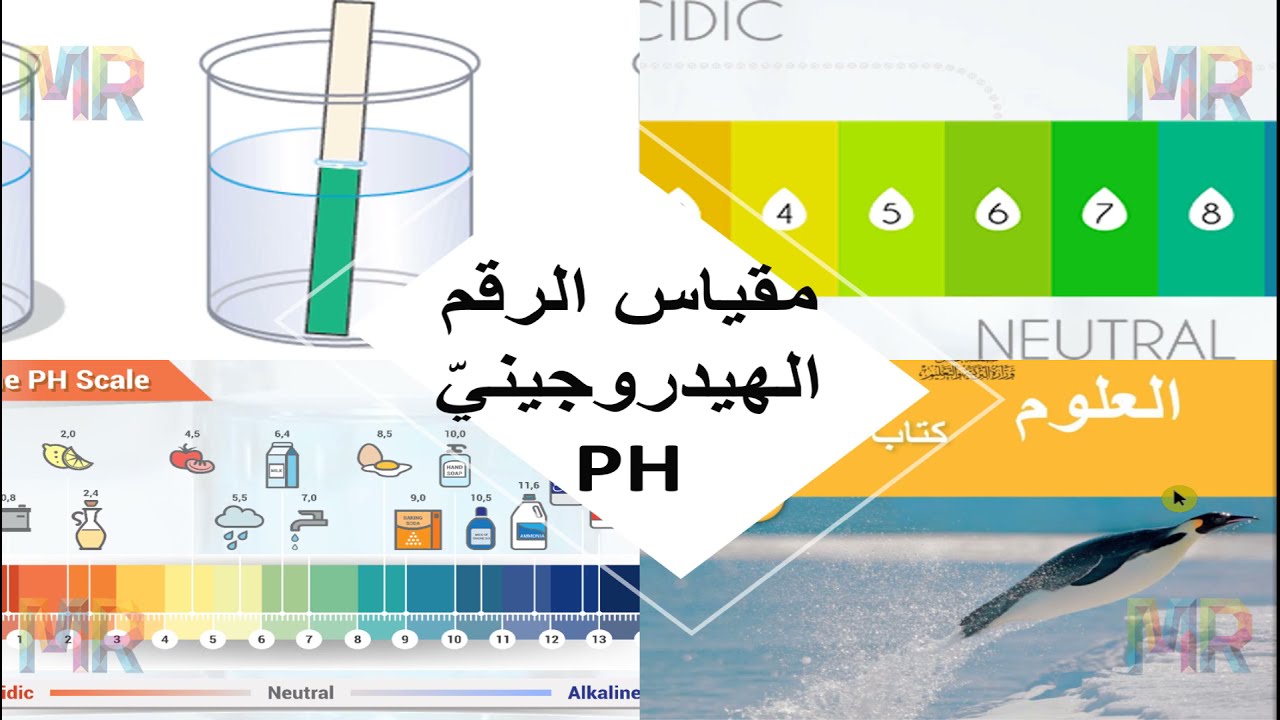 مقياس الرقم الهيدروجيني Ph