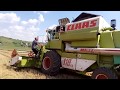 Комбайн Claas Dominator. уборка урожая пшеницы 2018 /Moldova