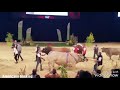 Europe s n 1 livestock show 2018