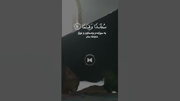 خالد الجليل - سورة الفرقان - تلاوة خاشعة #راحة_نفسية #اكسبلور #لايك