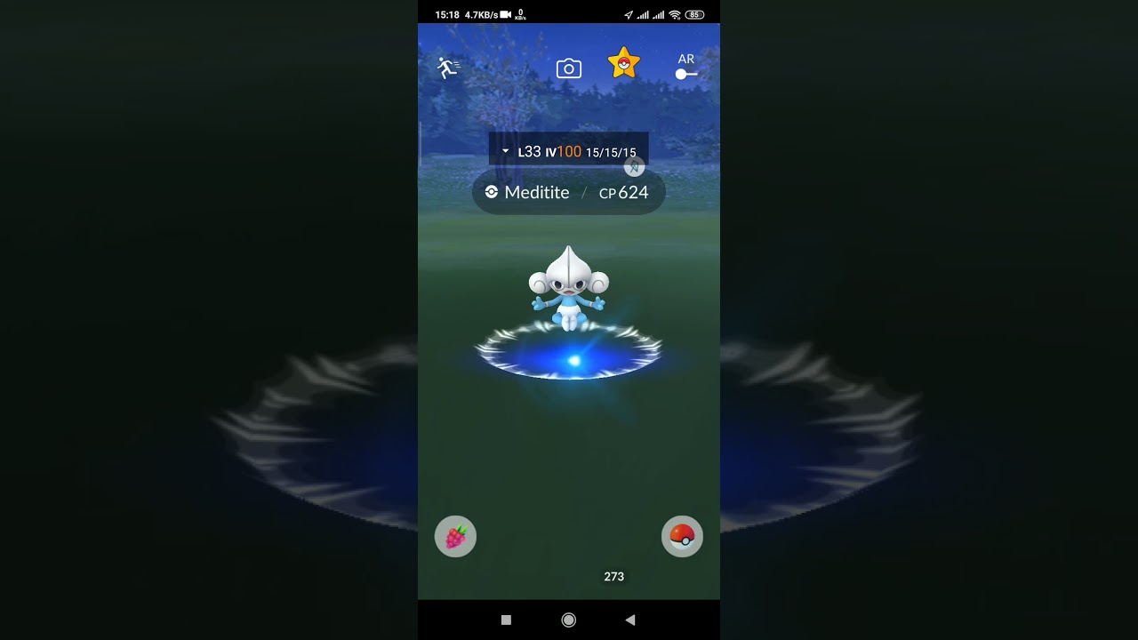 100IV Hundo Meditite