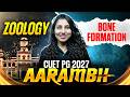CUET PG Zoology 2027 | CUET PG Zoology Bone Formation | CUET PG Zoology Classes