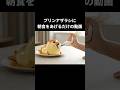 プリンアザラシのいる暮らし #shorts
