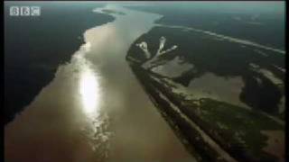The Mighty Amazon & River Dolphins -Wild South America - Bbc