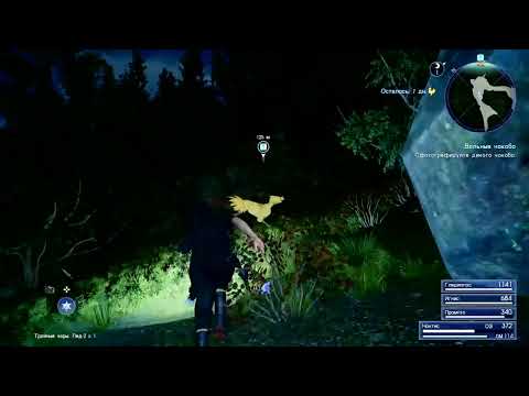 Final fantasy 15.Hard sony interactive entertainment europe limited